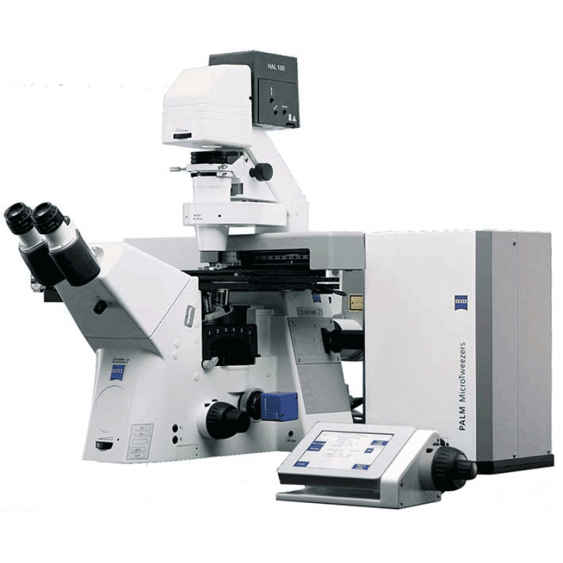 ZEISS