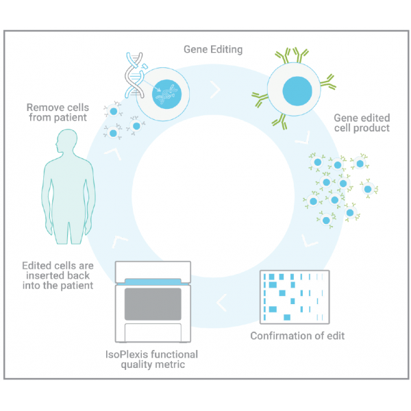 Cell Stem Cell - IsoPlexis 單細(xì)胞功能蛋白質(zhì)組學(xué)技術(shù)加速 CRISPR 編輯的iPS-NK 細(xì)胞療法
